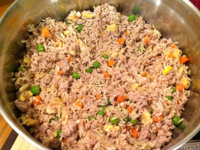 picture of homemade dog food in bowl