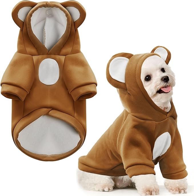 Small dog in cute brown hoodie that looks like a little bear