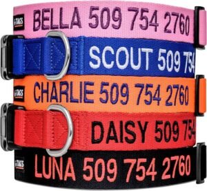 picture 5 different color dog collars personalized with names and phone numbers