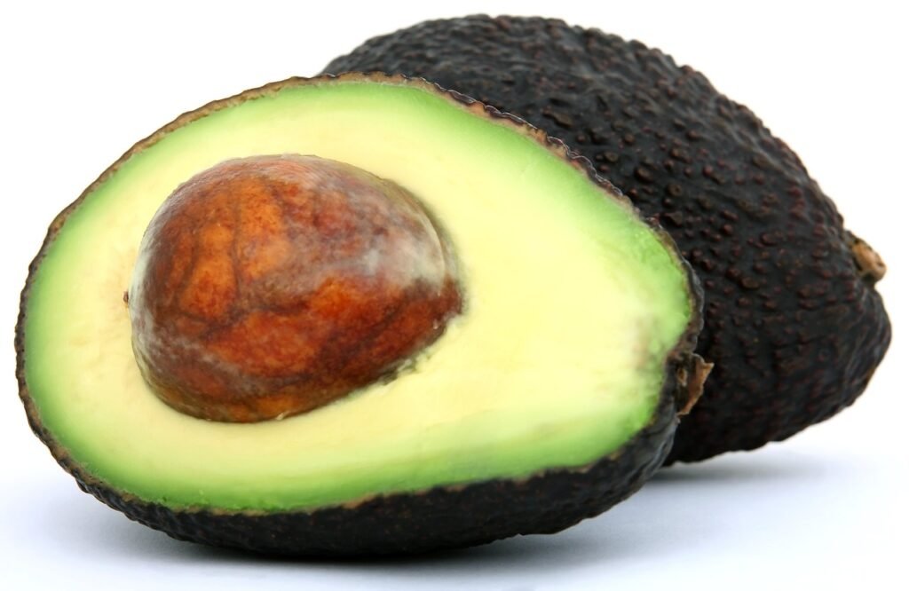 Foods That Are Toxic To DOGS! - BE INFORMED 18 appetite, avacado, avo