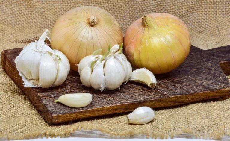 Foods That Are Toxic To DOGS! - BE INFORMED 15 onion, garlic, cutting board