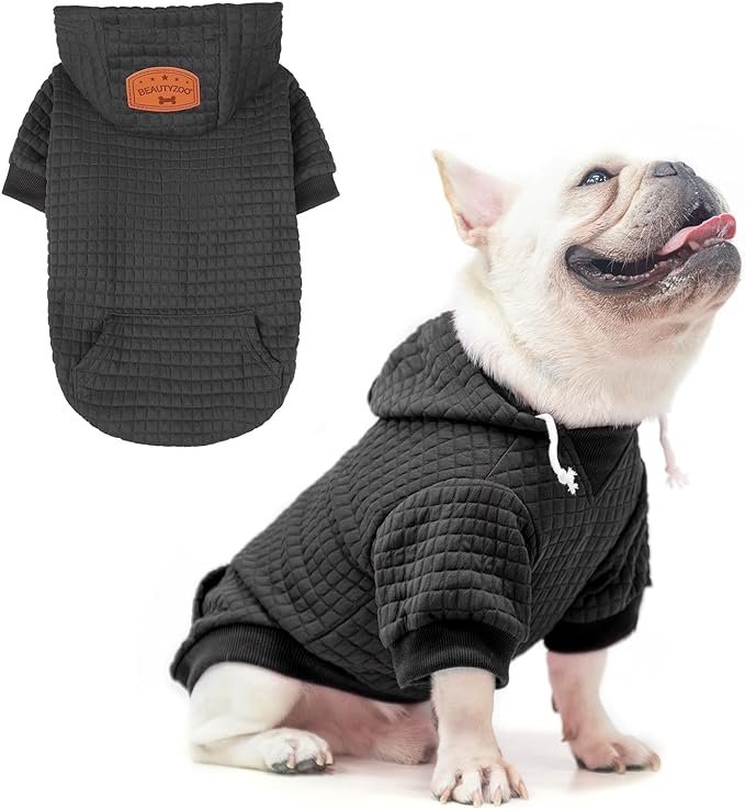 white dog sitting with tongue out in a gray sweatshirt with hoodie