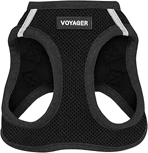 picture of a small black dog harness with the words voyager on it.