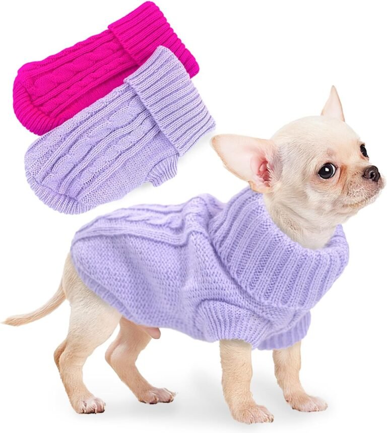 small white dog standing up in a cute turtleneck lavender sweater, available in pink too