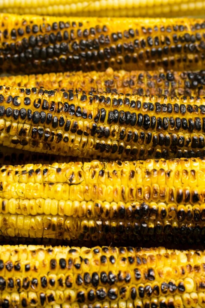 Foods That Are Toxic To DOGS! - BE INFORMED 27 Detailed image of grilled corncobs highlighting vibrant yellow and charred textures.
