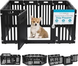Picture of a corgi puppy sitting inside a black playpen keeping him very safe.