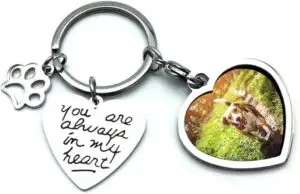 CLICK HERE. Pet Dog Remembrance Memorial Photo Frame Keychain Gifts, Pet Sympathy Present,You are Always in My Heart