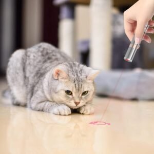 CLICK HERE. Cat Toys, Laser Pointer with 5 Adjustable Patterns, USB Recharge Laser, Long Range and 3 Modes Training Chaser Interactive Toy, Dog Laser Toy 【Multi-Mode Toys】There are three modes of toys for indoor cats. The first mode (red) can be used as an interactive toy for pet dogs and cats to play and chase, and also for lectures; the third mode (white) can be used for your daily use, especially for nighttime emergencies. 【USB Charging】Indoor cat interactive toys with USB charging, no need to worry about the power supply, compatible with cell phone chargers, mobile power, car chargers and other USB devices.
