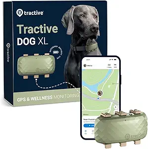 CLICK HERE. XL GPS Tracker & Health Monitoring for Dogs (50 lbs+) - Market Leading Pet GPS Location Tracker | Wellness & Escape Alerts | Waterproof | Works with Any Collar (Green)