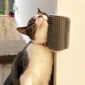 Self Grooming Brushes For Your Cat 6 CLICK HERE. AMAZON'S CHOICE. 2 Pack Softer Self Groomer with Catnip Wall Corner Massage Comb Scratcher Grooming Brush Tool for Long & Short Fur Kitten Cats Dogs