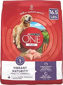 Best Elderly Dog Food - Recommended By Vets 9 717sE2l ihL. AC SX300 SY300 QL70 FMwebp