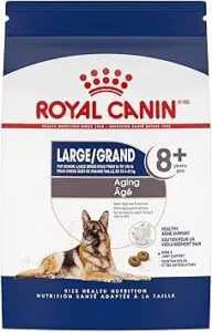 Bag of Royal Canin Large Aging 8+ dry dog food, 30 lbs, designed for senior dogs weighing 56 to 100 lbs. The white and blue packaging features a German Shepherd and highlights benefits like bone and joint support and healthy aging. This formula is considered one of the best senior dog food recommended by vets for large breed aging dogs.
