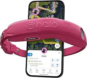 GPS wireless dog fence and training collar