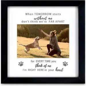 CLICK HERE. AMAZON'S CHOICE. Memorial Picture Frame for Pet Loss Gift - Remembrance Frame for Dog or Cat with Sympathy Tribute Keepsake(9x9 frame)