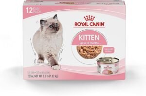 CLICK HERE. AMAZON'S CHOICE. Royal Canin Feline Health Nutrition Mother & Babycat Ultra Soft Mousse in Sauce Canned Cat Food,