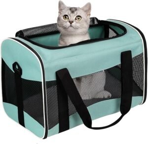 CLICK HERE. AMAZON'S CHOICE. Cat Carrying Case Pet Dog Carrier Soft-Sided Cat Bag Airline Approved, Pet Travel Carrier Up to 15 Lbs, Collapsible Cat Carrier Dog Carrier for Medium Cats Small Cats Dogs(17x11x11 Green)