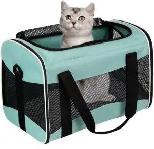 CLICK HERE. AMAZON'S CHOICE. Cat Carrying Case Pet Dog Carrier Soft-Sided Cat Bag Airline Approved, Pet Travel Carrier Up to 15 Lbs, Collapsible Cat Carrier Dog Carrier for Medium Cats Small Cats Dogs(17x11x11 Green)
