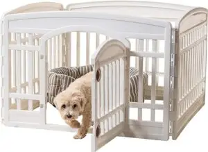 CLICK HERE. AMAZON'S CHOICE. Exercise 4-Panel Pet Playpen with Door, Dog Playpen, Puppy Playpen, for Puppies and Small Dogs, Keep Pets Secure, Easy Assemble, Fold It Down, Easy Storing, Customizable, White