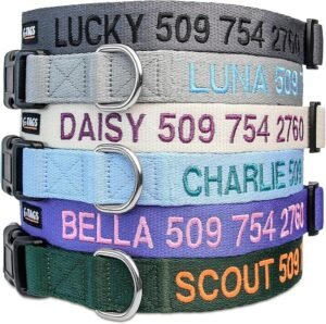CLICK HERE. AMAZON'S CHOICE. GoTags Personalized Dog Collar, Custom Embroidered Pet ID Dog Collar with Pet Name and Phone Number, Adjustable with Quick Release Snap Buckle