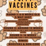 puppyvaccine schedule