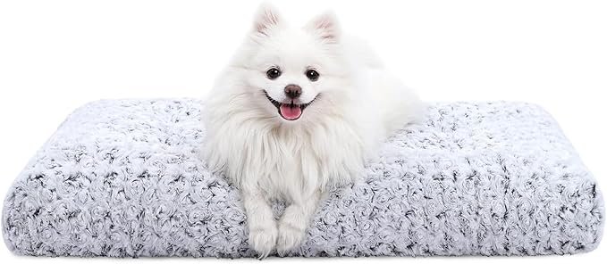 cute white fluffy dog on comfortable gray bed