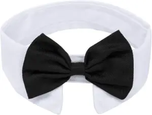 CLICK HERE. ZTON Handcrafted Adjustable Formal Pet Bowtie Collar Neck Tie for Dogs & Cats