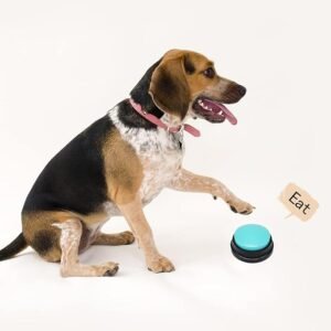 Button Talk Training for you Dog. 4 CLICK HERE. AMAZON'S CHOICE. Voice Recording Button, Dog Buttons for Communication Pet Training Buzzer, 30 Second Record & Playback, Funny Gift for Study Office Home, 6 Packs