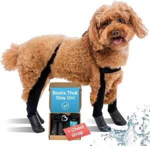 Dogs Need Shoes Too! 14 CLICK HERE. Walkee Paws New Deluxe Easy-On, Dog Suspender Boot Leggings. Plus Chest Strap. Waterproof Booties for Small Dogs and Medium Sized Dogs, Protect Paws from Rain, Snow, and Snow Melt