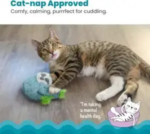 CLICK HERE. AMAZON'S CHOICE. Purr Pillow Snoozin' Sloth Soothing Plush Cat Toy REDUCES ANXIETY FOR STRESSED CATS: This soft plush purring cat toy is a great way to calm down kitties that get separation anxiety or exhibit signs of stress. TOUCH ACTIVATED PURR: The sloth Purr Pillow is designed to provide a familiar, soothing cat purr that lasts 2 minutes each time the toy is squeezed or cuddled. CUDDLY FABRIC: Soft fabric and bright colors will make the Purr Pillow Snoozin' Sloth a favorite nap time buddy. REMOVABLE PURR FOR EASY CLEANING: Keep your kitty's favorite new cuddle toy clean by simply removing the purr mechanism and placing the soft fabric shell into the washing machine. Dry before replacing the purr mechanism. PLAY IT SAFE: No toy is indestructible. Do not leave toys with unsupervised pets. Remove and replace toy if damaged.
