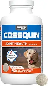 Cosequin Joint Health Supplement for Dogs – 250 Chewable Tablets with MSM – Vet-Recommended Formula for Mobility Support in Dogs of All Sizes