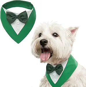 CLICK HERE. AMAZON'S CHOICE. St.Patrick's Day Dog Tuxedo,Pet Green Collar Puppy Costume Adjustable Dog Bandana Cosplay Party Doggie Bibs,Irish Lucky Dress-Up Dog Bow Tie Green and White