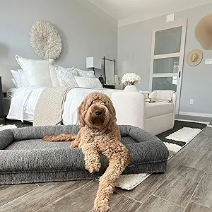 Newton Orthopedic Pet Bed - Washable Crate Bed for Puppy to Large Dogs, Comfy & Durable with Removable & Breathable Cover