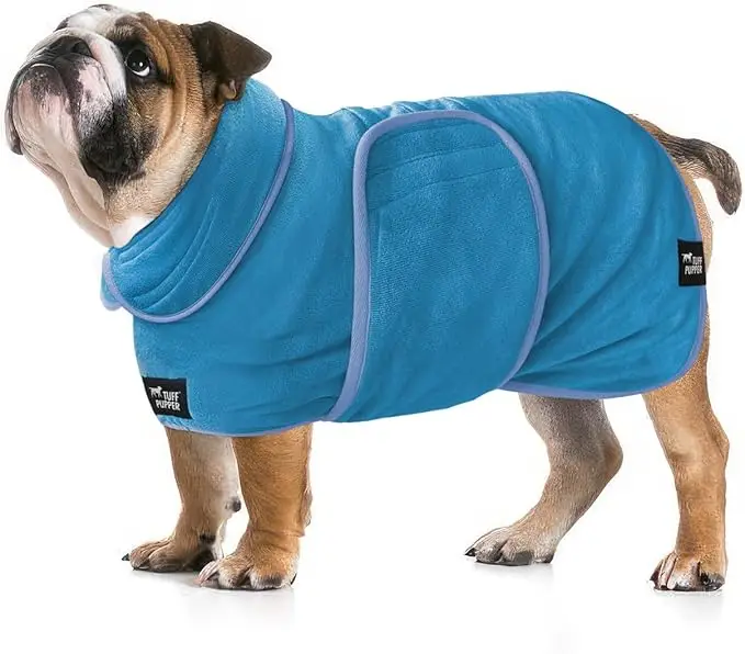 Pet grooming essentials: Grooming tools for a fresh and happy pet.
