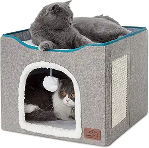 Kittenbed