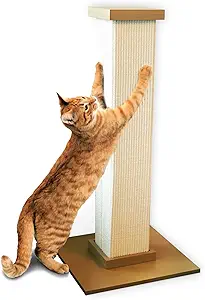 catscratchingpad