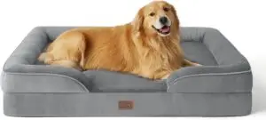 dogbed
