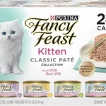 wetkittenfood