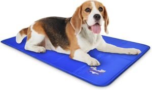 🐾 1. Arf Pets Self-Cooling Dog Mat Description: This pressure-activated gel mat provides up to 3 hours of cooling relief without the need for water, electricity, or refrigeration. It's perfect for keeping your pet comfortable indoors or outdoors.