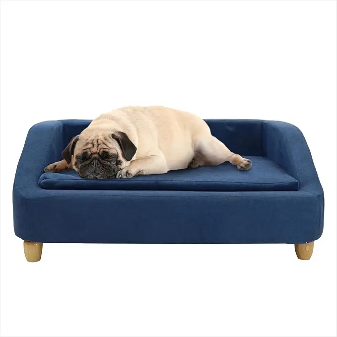 Dog on blue bed