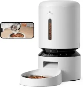 π± Must-Have Products Every Cat Parent Needs 10 automatic cat feeder