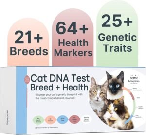 cat dna