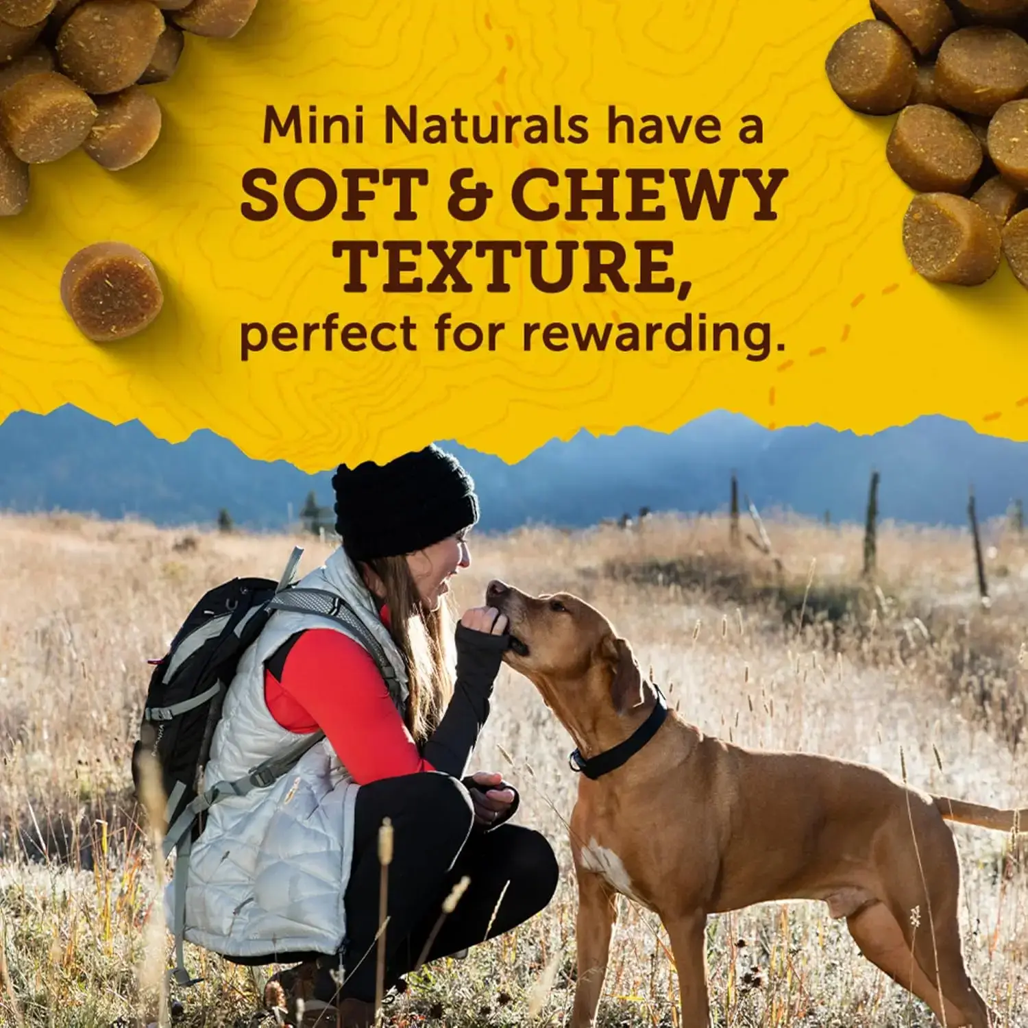 dog treat package