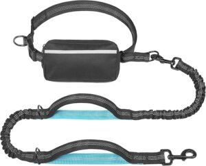 hands free leash for dogs