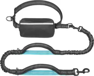 hands free leash for dogs