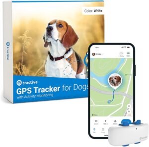 dog activity tracker tag