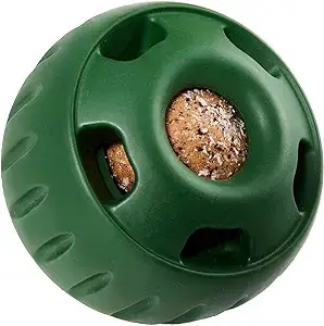 interactive toy