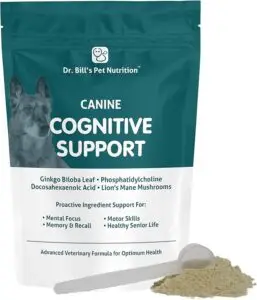 CognitiveSupport