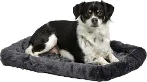 Small black and white dog resting on the MidWest Homes Puppy Bed — one of the best puppy beds 2025, soft, cozy, and machine washable for easy care.
