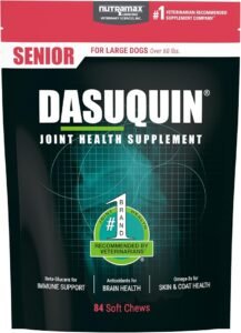 Dasuquin senior joint health supplement soft chews for large dogs over 60 lbs, veterinarian-recommended senior dog supplements.