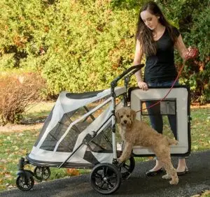 Woman walking with a Pet Gear No-Zip stroller featuring a small dog comfortably entering — one of the best dog strollers for senior dogs to make outdoor adventures easier.